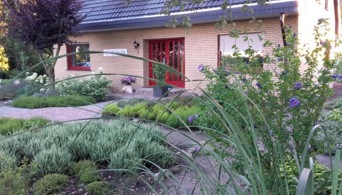 Afbeelding van REMO Hoveniers